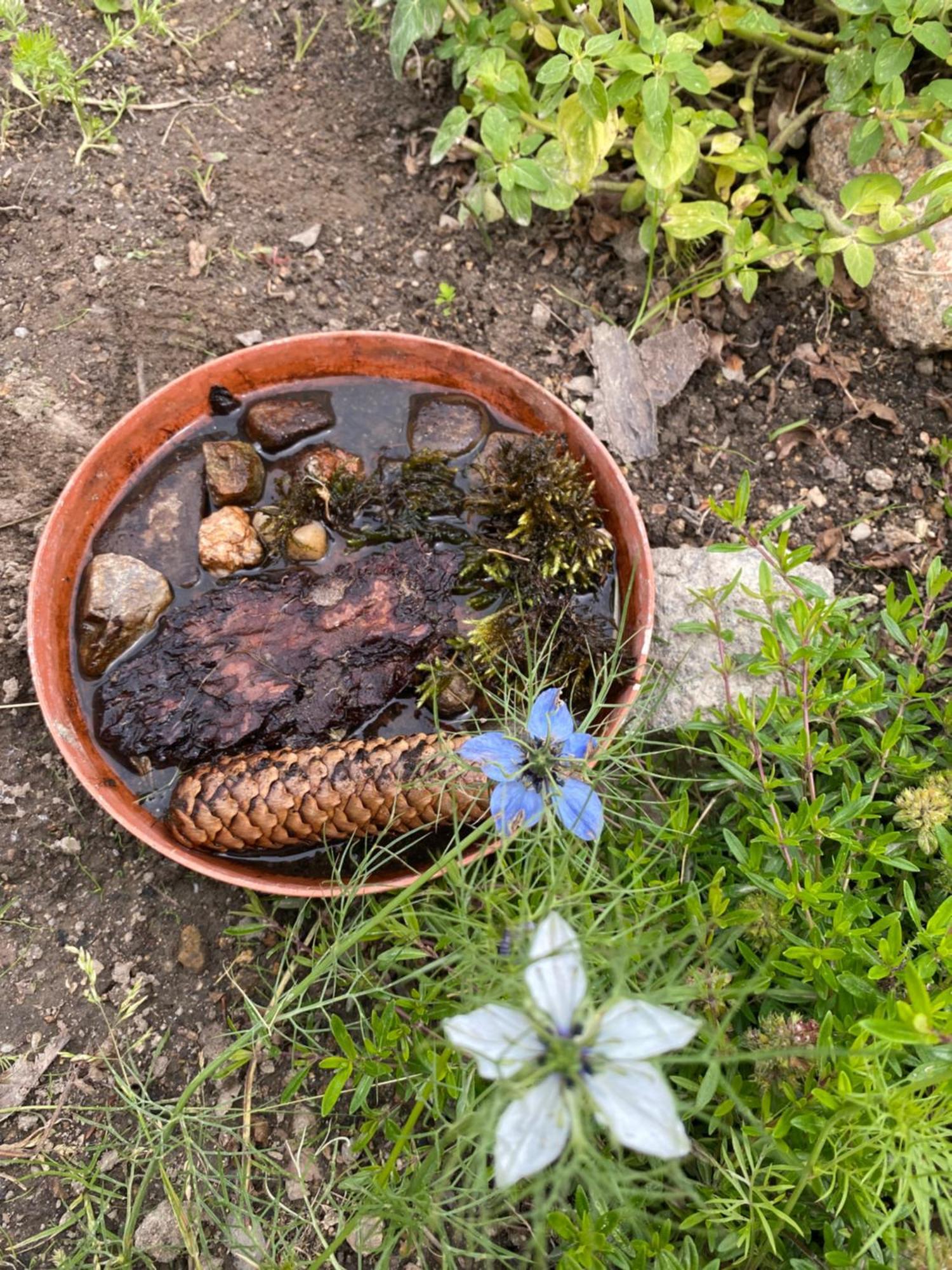 Domek Dzika Roza Szklarska Poręba Esterno foto